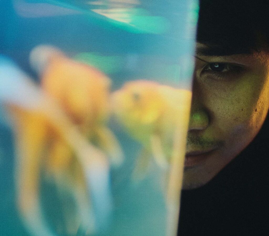 Man looking into Aquarium